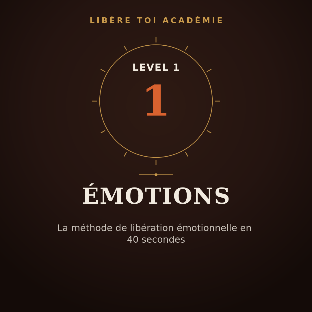 Level 1 - Émotions